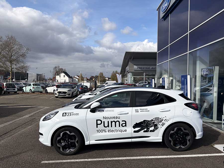 puma